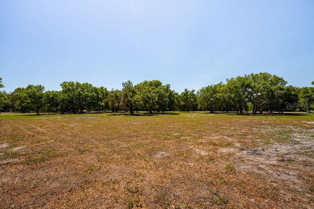 A wide, flat, grassy lot is bordered by a dense line of mature trees — 0 MILLER ROAD, DADE CITY, FL