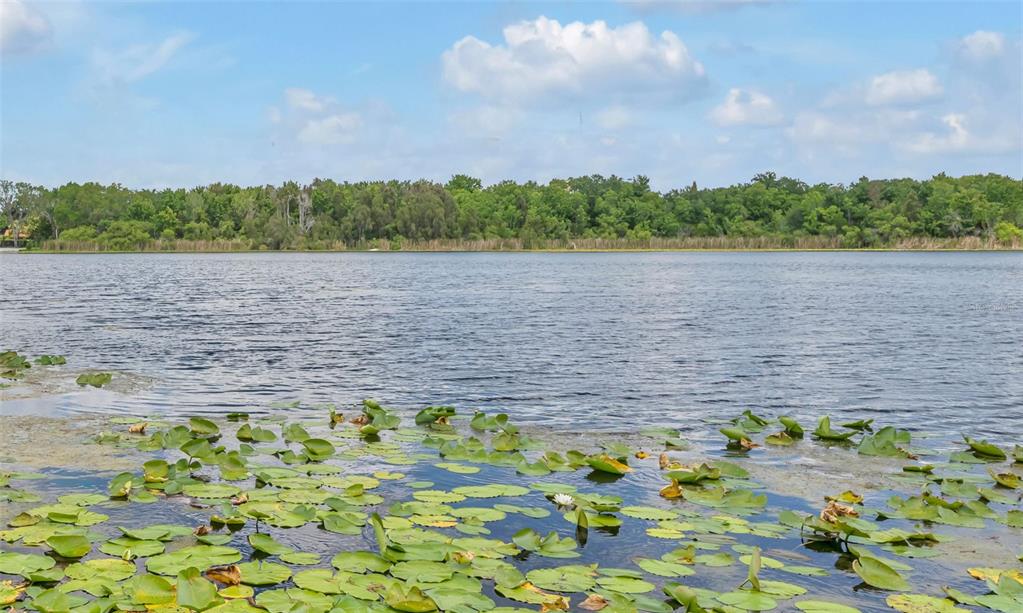 A lake view features a foreground of lily pads and a distant treeline under blue skies — 1841 LAKE SPIER DRIVE, WINTER PARK, FL