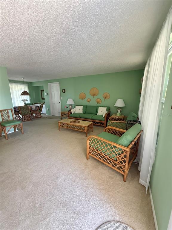 A living room with green walls, wicker furniture, and beige carpeting — 12884 BACCHUS ROAD, PORT CHARLOTTE, FL