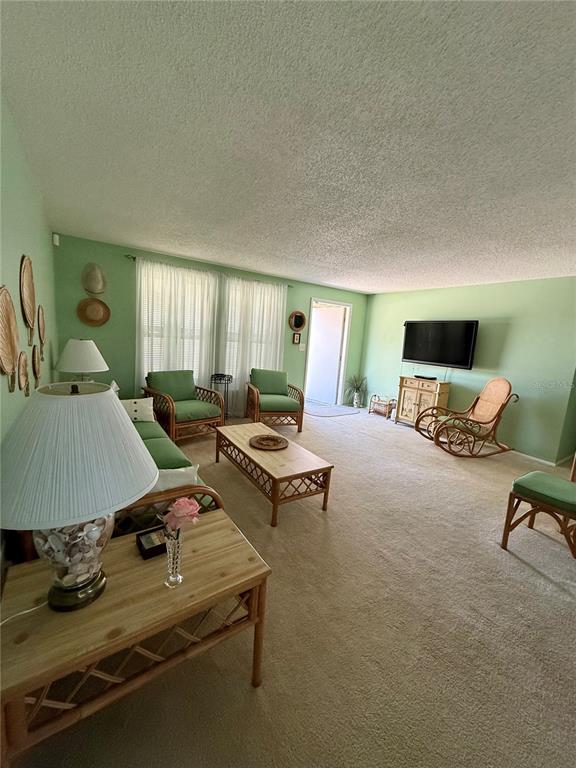 A living room features light green walls, beige carpeting, wicker furniture, and a wall-mounted television — 12884 BACCHUS ROAD, PORT CHARLOTTE, FL