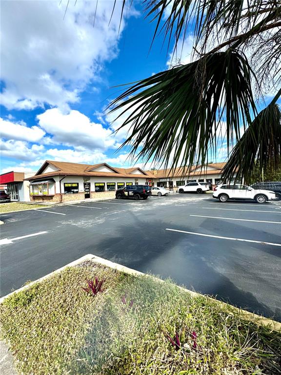 A commercial building with a parking lot and palm tree in the foreground — 2335 S RIDGEWOOD AVENUE, SOUTH DAYTONA, FL