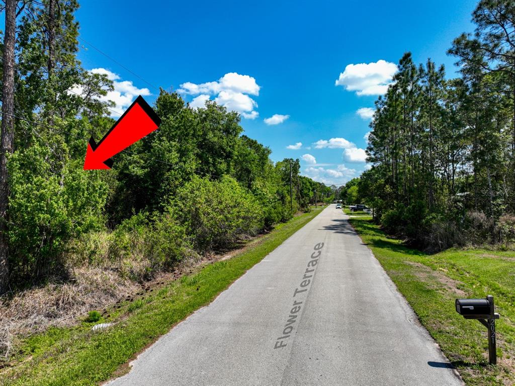A paved road named Flower Terrace runs alongside a densely wooded lot with an arrow — 2022 FLOWER TERRACE, SEBRING, FL