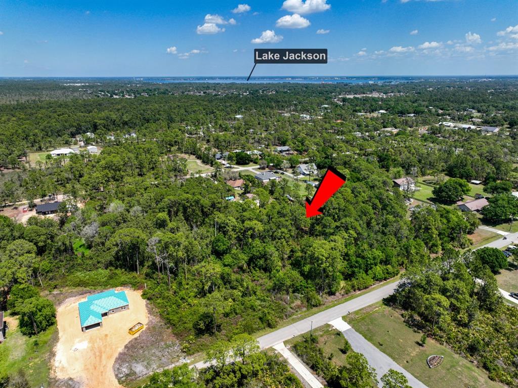 An aerial view shows a wooded lot with a red arrow pointing toward the property — 2022 FLOWER TERRACE, SEBRING, FL
