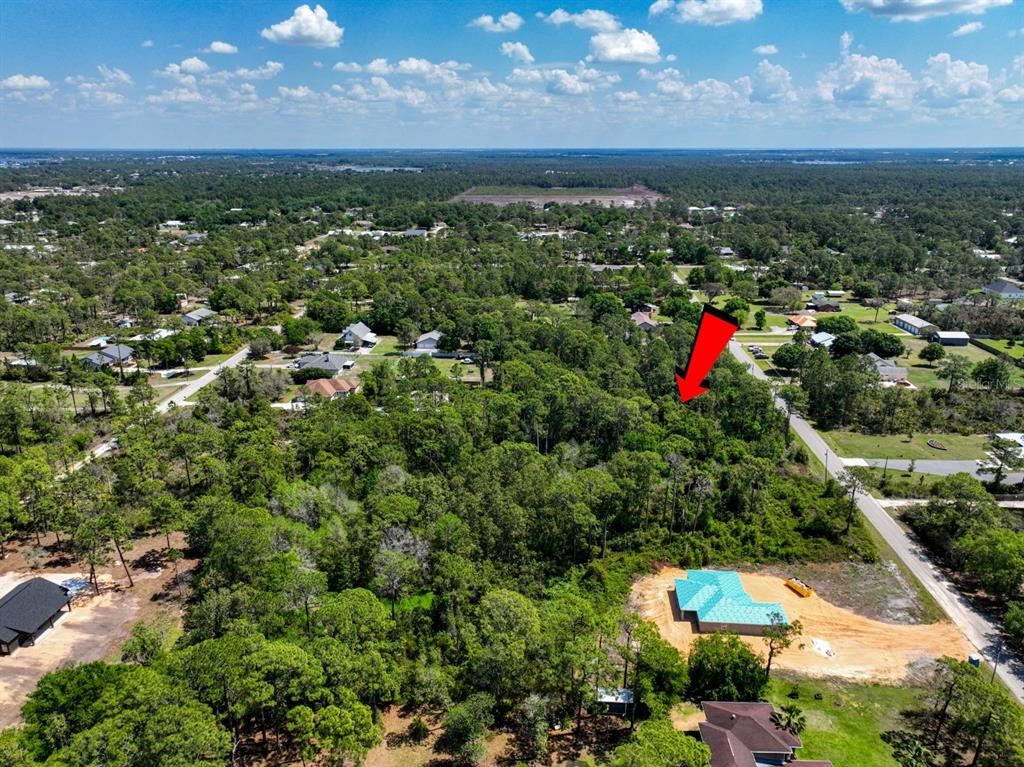 An aerial view shows a wooded residential lot marked by a red arrow — 2022 FLOWER TERRACE, SEBRING, FL