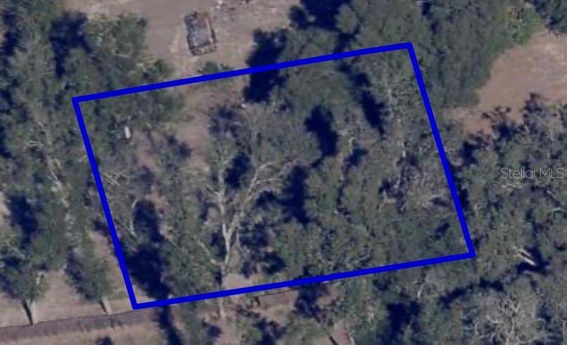 An aerial view shows a rectangular plot of land outlined in blue, covered with trees — 1621 CLARCONA ROAD, APOPKA, FL