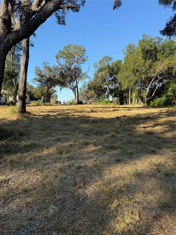 A cleared, grassy lot features several large trees under a clear blue sky — 1621 CLARCONA ROAD, APOPKA, FL