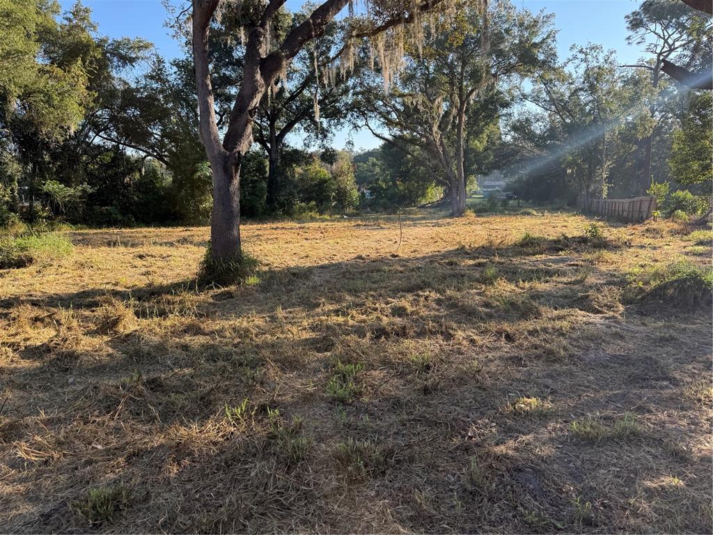 A large, cleared grassy lot features several mature oak trees with Spanish moss — 1621 CLARCONA ROAD, APOPKA, FL