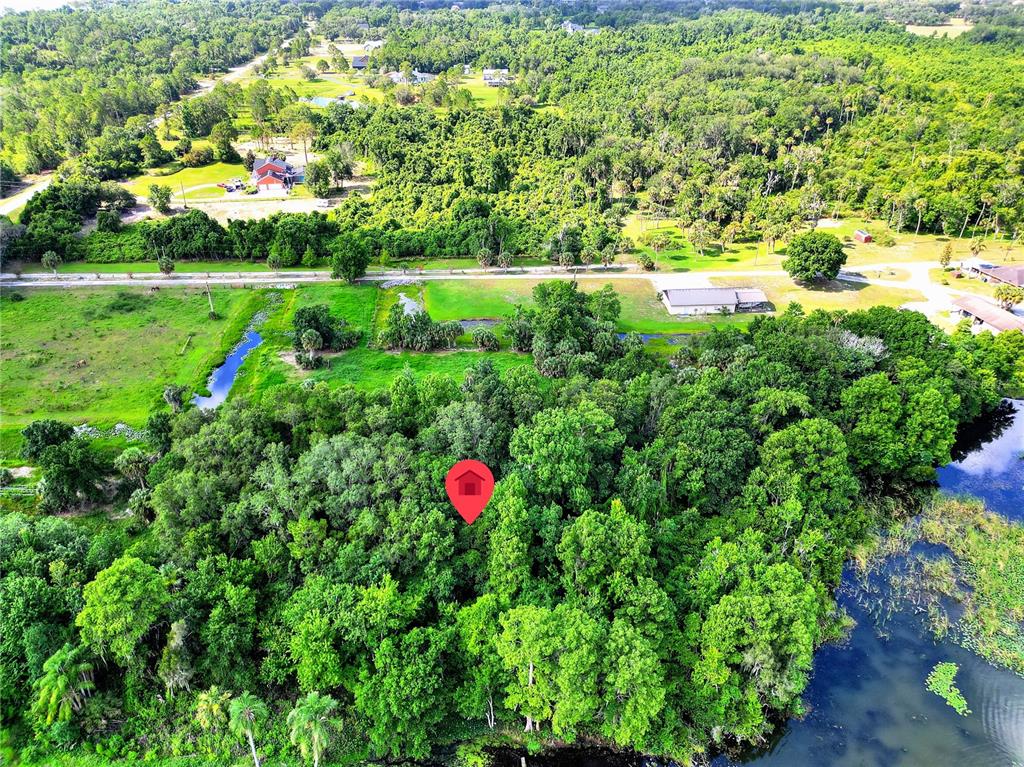 An aerial view shows a red location pin marking a wooded lot near a lake — 1001 W LAKE MARION ROAD, HAINES CITY, FL