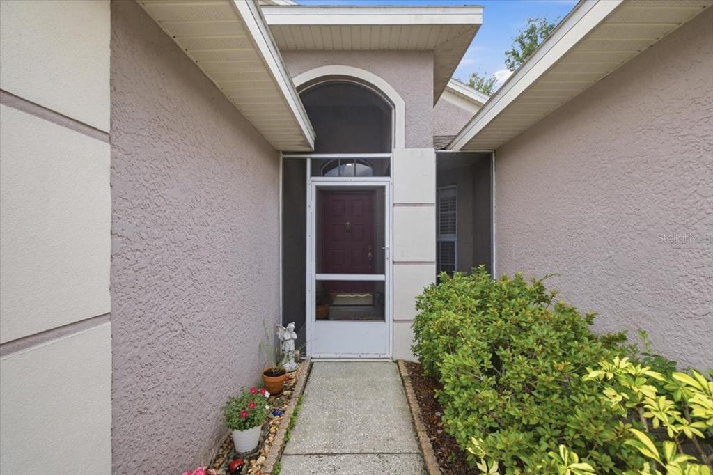 A concrete walkway leads to a front door with a screen door under an archway — 392 TAVERNIER CIRCLE, OLDSMAR, FL