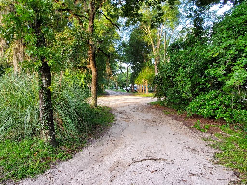 A sandy dirt road leads through a wooded area toward a distant residential street — 23676 NW 194TH AVENUE, HIGH SPRINGS, FL