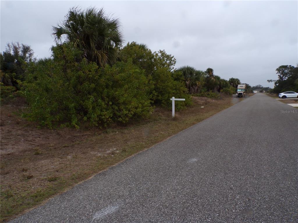 A vacant, overgrown lot sits beside a paved road with a white signpost — HOLSTER AVENUE, NORTH PORT, FL