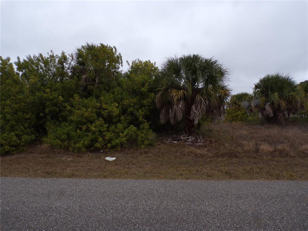 A paved road runs in front of a vacant lot with trees and palm trees — HOLSTER AVENUE, NORTH PORT, FL