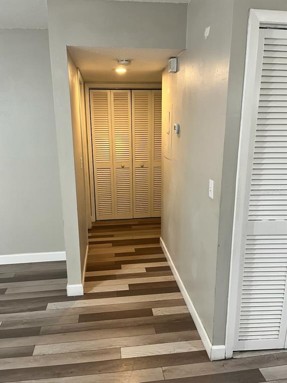 A hallway with wood-look plank flooring leads to a closet with white louvered doors — 3810 W CLEVELAND STREET UNIT B, TAMPA, FL