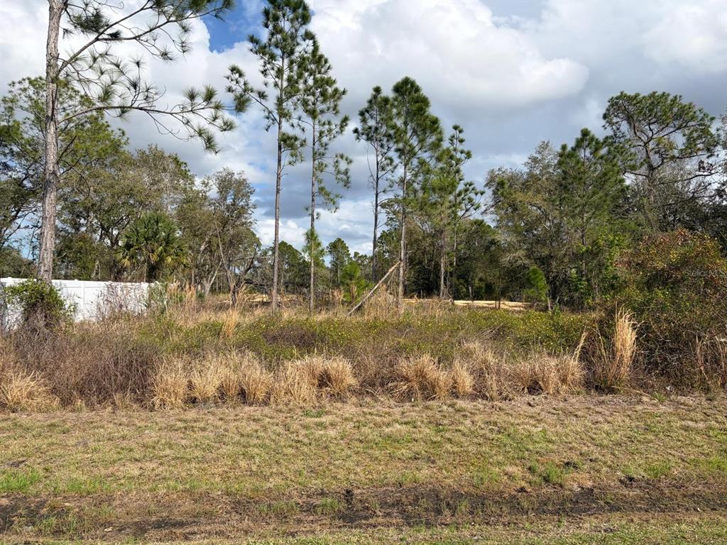 202 SPOONBILL DRIVE