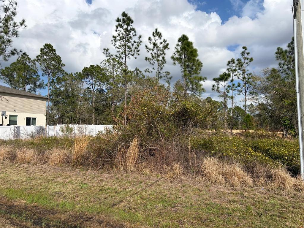 A vacant, overgrown lot sits next to a house with a white vinyl fence — 202 SPOONBILL DRIVE, POINCIANA, FL