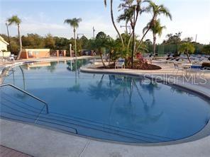 A curved outdoor swimming pool is surrounded by a concrete deck and palm trees — 226 ORCHID DRIVE, DAVENPORT, FL