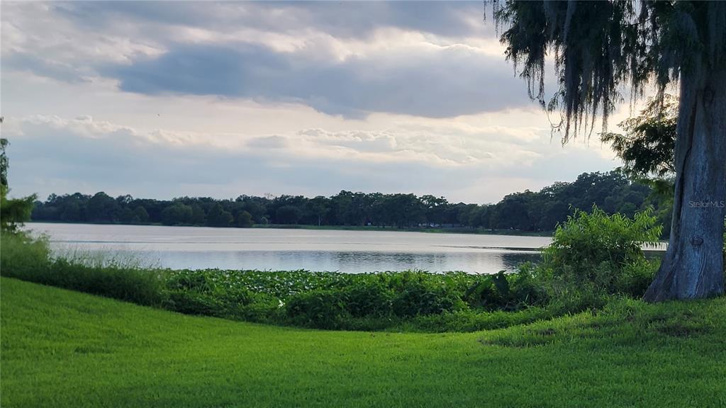 A grassy lawn overlooks a lake with a large tree and lily pads in the foreground — 4023 VERSAILLES DRIVE UNIT 4023F, ORLANDO, FL