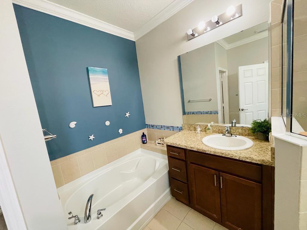 A bathroom featuring a soaking tub, a vanity with a granite countertop, and blue walls — 1743 PORTOFINO MEADOWS BOULEVARD, ORLANDO, FL