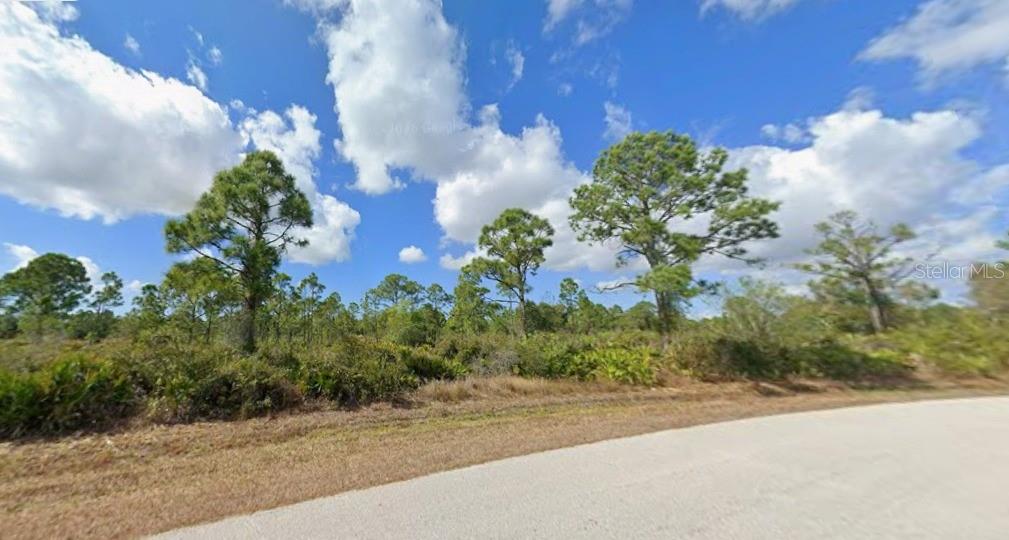 A paved road runs alongside a vacant, wooded lot under a blue sky with clouds — 12069 HOLLYHOCK STREET, PUNTA GORDA, FL