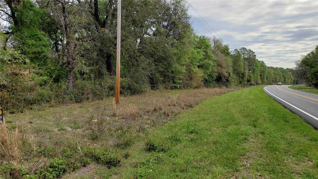 A grassy roadside lot borders a dense forest with a utility pole and paved road — E HWY 316, FORT MC COY, FL