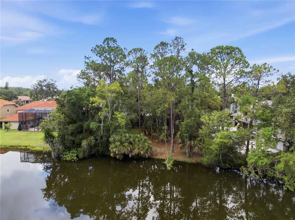 An aerial view shows a wooded lot situated between two houses along a pond — 1332 PRESERVATION WAY, OLDSMAR, FL