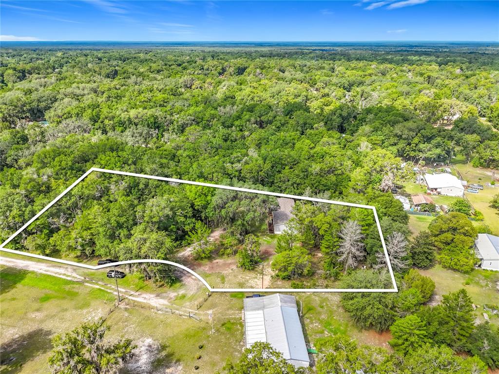 An aerial view shows a wooded residential lot outlined in white with a small house — 115 BETSY ROSS PLACE, SATSUMA, FL