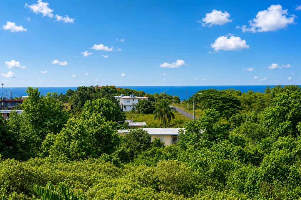 An elevated view of a coastal landscape featuring lush green trees and several residential houses — 8466 CALLE LOS LUGO, QUEBRADILLAS, PR