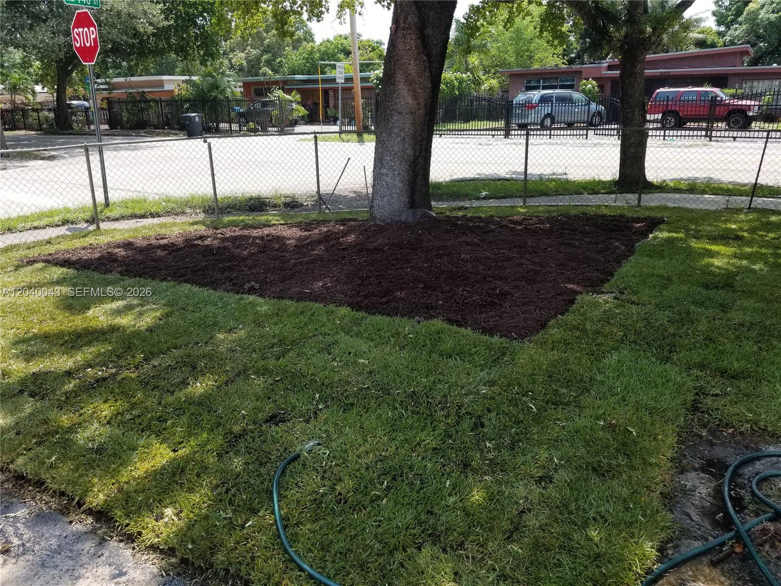 A large tree stands in a mulched bed surrounded by a lawn and chain-link fence — 1201 NE 148th St # B, Miami FL 33161, MIAMI, FL