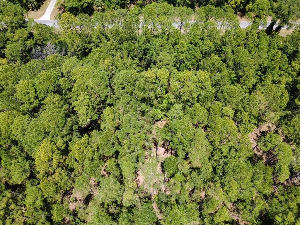 APRICOT AVENUE, EUSTIS, FL — photo 4 of 7