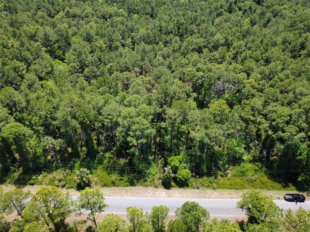APRICOT AVENUE, EUSTIS, FL — photo 5 of 7