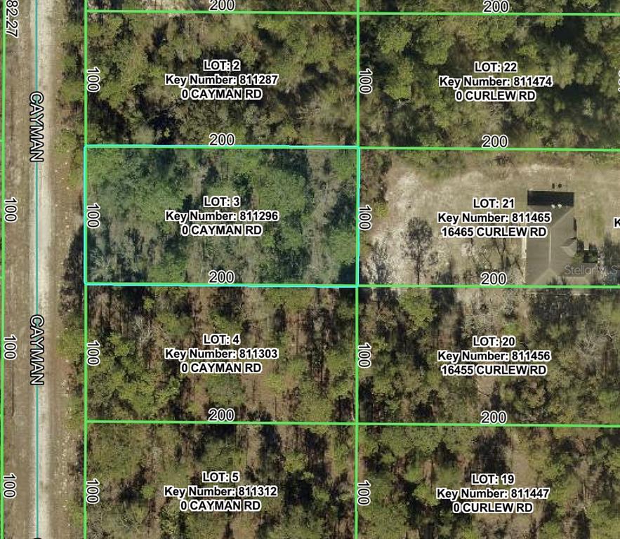 This is a satellite map showing several rectangular land lots with dimensions and labels — 16464 CAYMAN ROAD, BROOKSVILLE, FL
