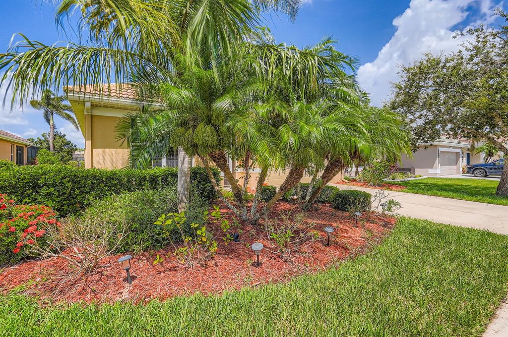 A palm tree stands in a landscaped front yard with red mulch and small lights — 244 GOLDEN HARBOUR TRAIL, BRADENTON, FL