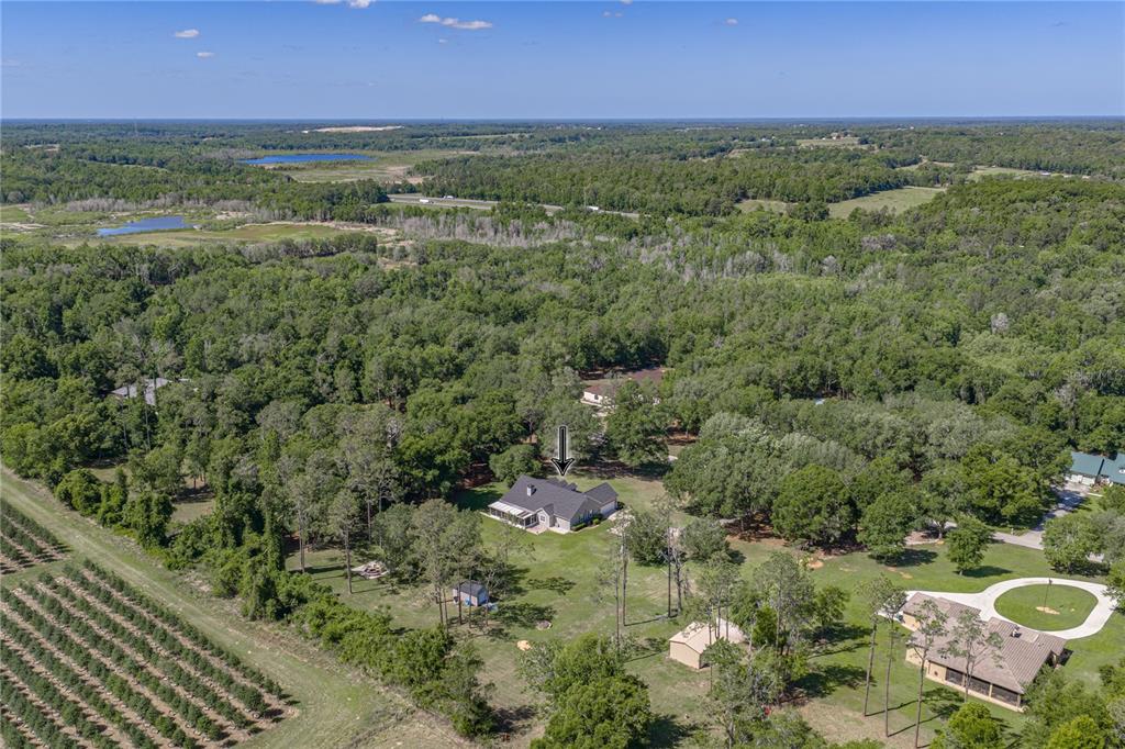 An aerial view shows a house with a dark roof surrounded by trees and grass — 810 SAVANNAH OAKS DRIVE, BROOKSVILLE, FL