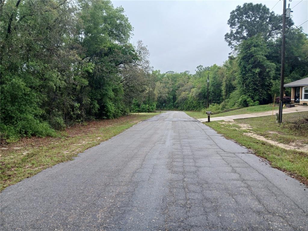A paved road stretches forward between a wooded area on the left and a house — 7851 N VINCE DRIVE, CITRUS SPRINGS, FL