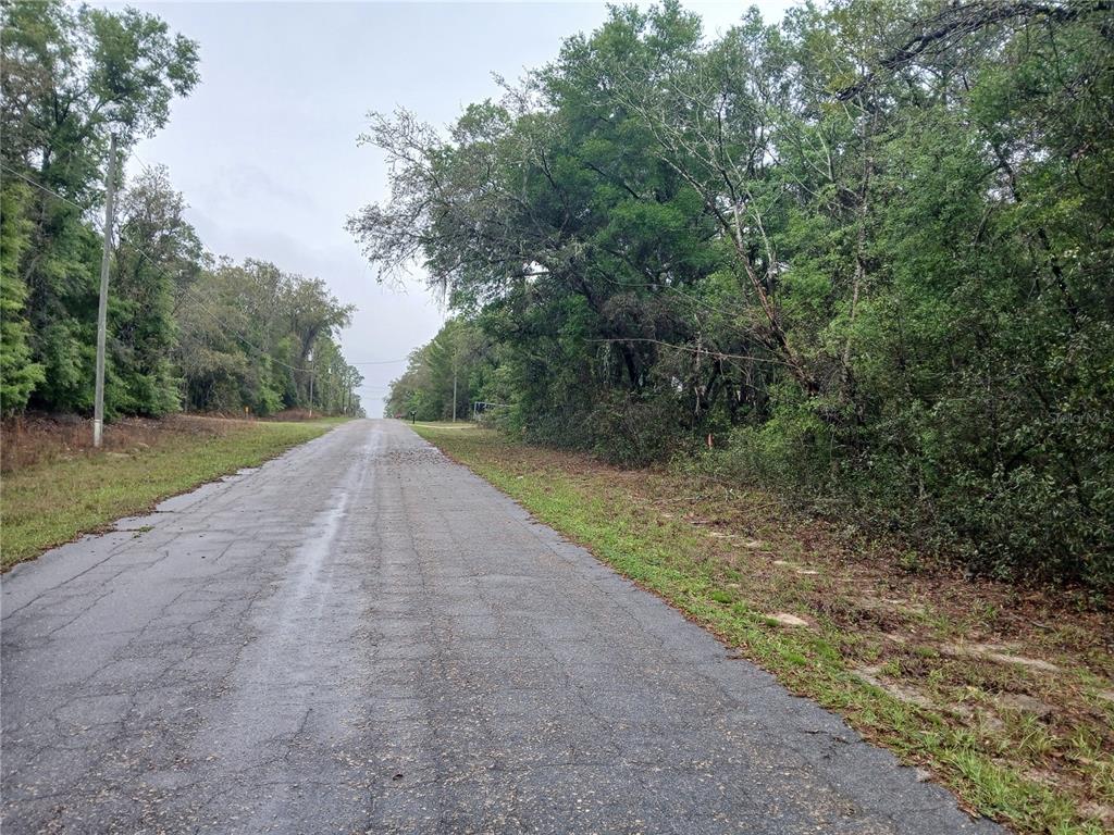 A paved road stretches forward between dense trees and grassy shoulders under an overcast sky — 7851 N VINCE DRIVE, CITRUS SPRINGS, FL