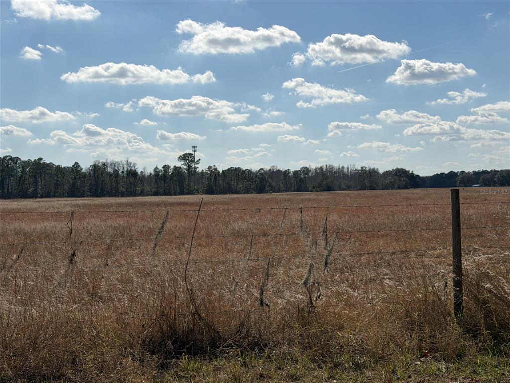 A wide, flat, grassy field is enclosed by a wire fence under a cloudy sky — LAKE ERIE ROAD, CLERMONT, FL