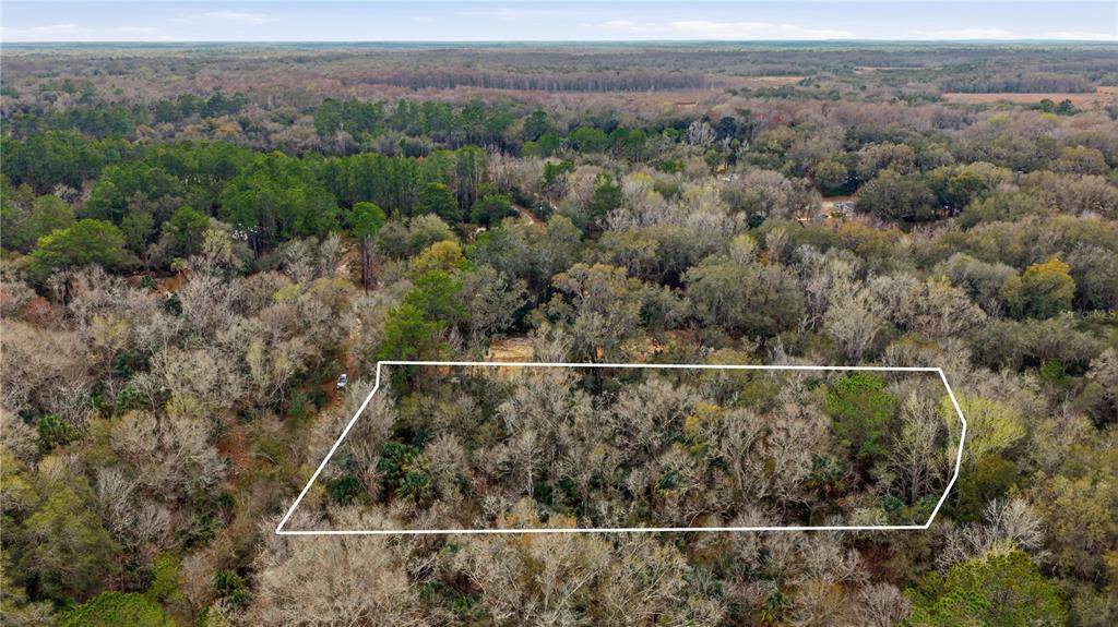 An aerial view shows a rectangular plot of land outlined in white amidst wooded terrain — 598 S CHAMBERS WAY, INVERNESS, FL