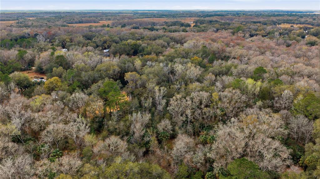An aerial view shows a dense, wooded landscape with patches of bare trees and greenery — 598 S CHAMBERS WAY, INVERNESS, FL