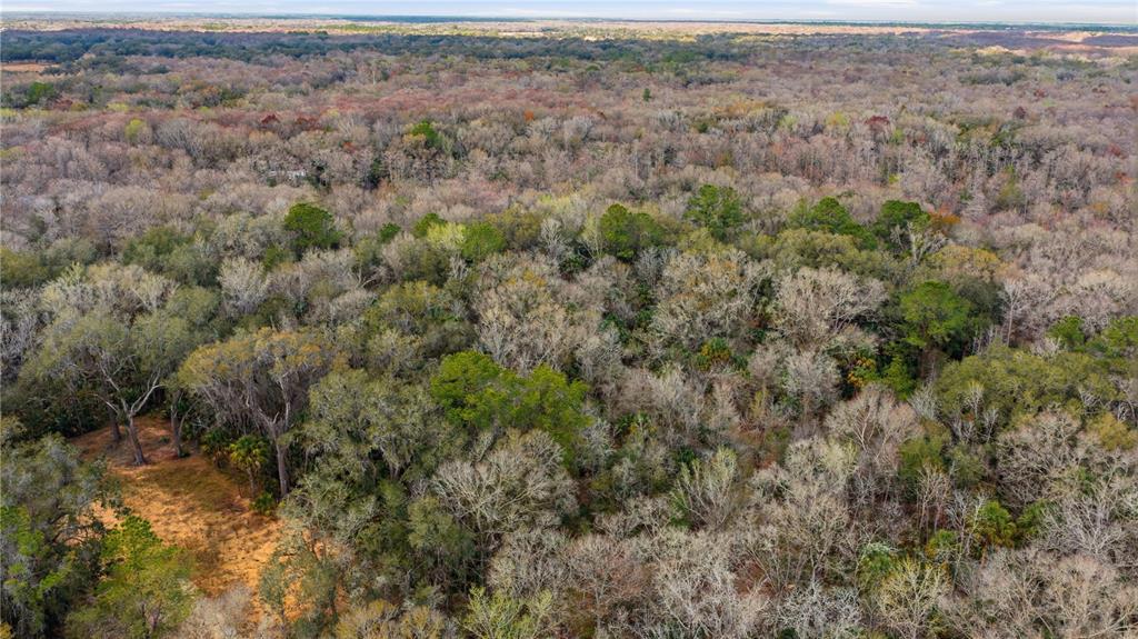 An aerial view shows a dense, wooded forest with a small patch of cleared land — 598 S CHAMBERS WAY, INVERNESS, FL