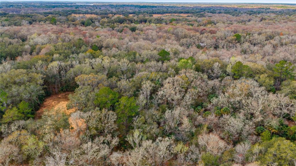 An aerial view shows a dense, wooded landscape with a small clearing in the foreground — 598 S CHAMBERS WAY, INVERNESS, FL