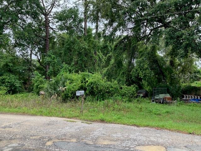 A wooded, overgrown vacant lot sits along a paved road with a lone mailbox — SE 21ST PLACE ROAD, SILVER SPRINGS, FL