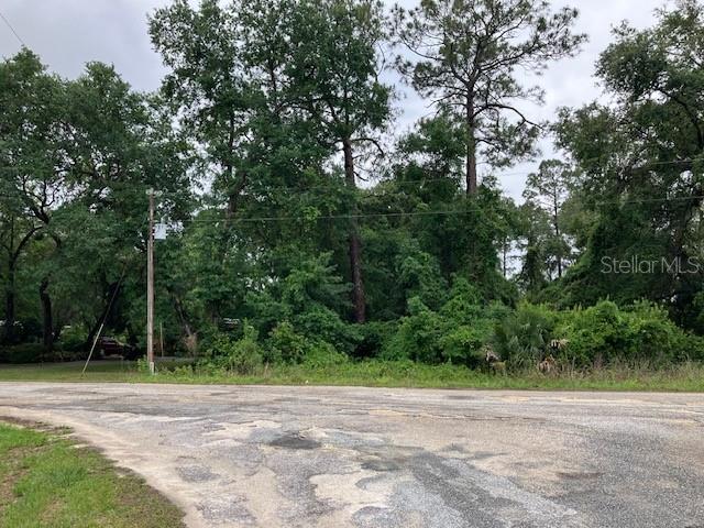 A view of a wooded, undeveloped lot from an adjacent paved road — SE 21ST PLACE ROAD, SILVER SPRINGS, FL