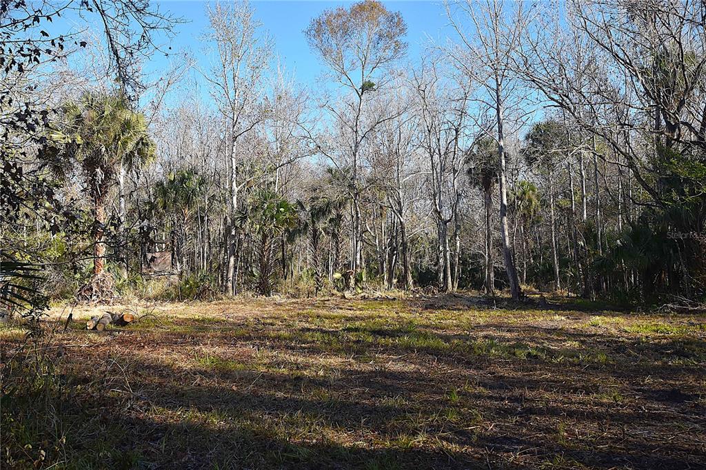 4721 LINGO GROVE ROAD, EDGEWATER, FL — photo 4 of 10