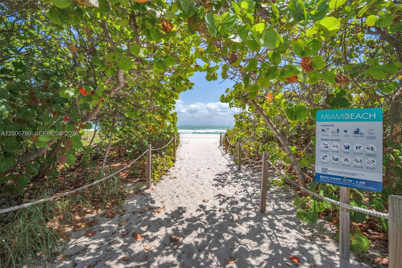 A sandy path leads through lush green foliage to a beach under a blue sky — 5313 Collins Ave # 204, Miami Beach FL 33140, MIAMI BEACH, FL