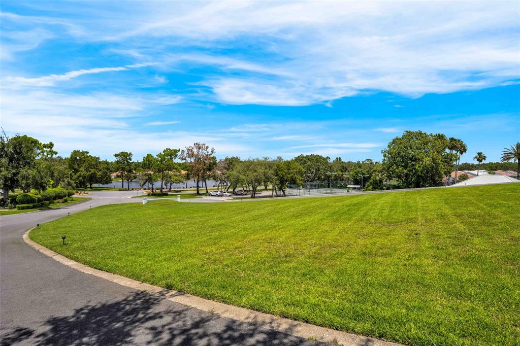 A paved road curves past a large grassy lawn toward a distant parking area and trees — 9322 SEVE COURT, WEEKI WACHEE, FL