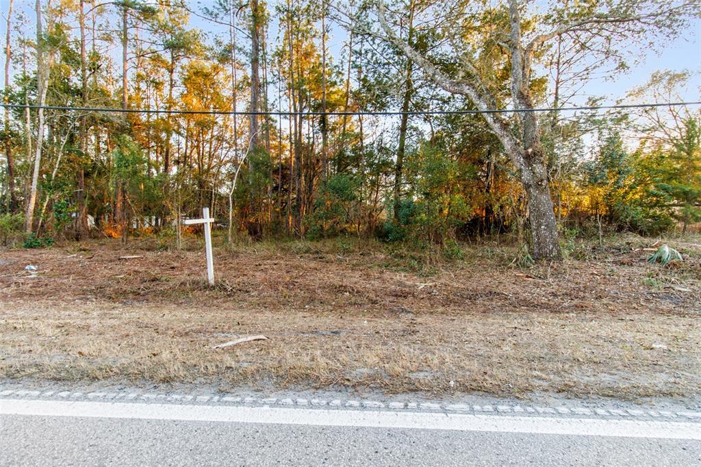 A vacant, wooded lot features a white sign post near a paved road — POWELL ROAD, BROOKSVILLE, FL