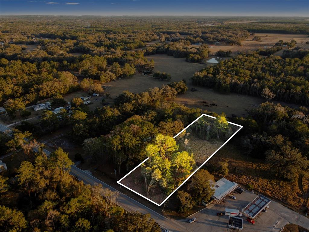 An aerial view shows a rectangular plot of land outlined in white next to a road — POWELL ROAD, BROOKSVILLE, FL