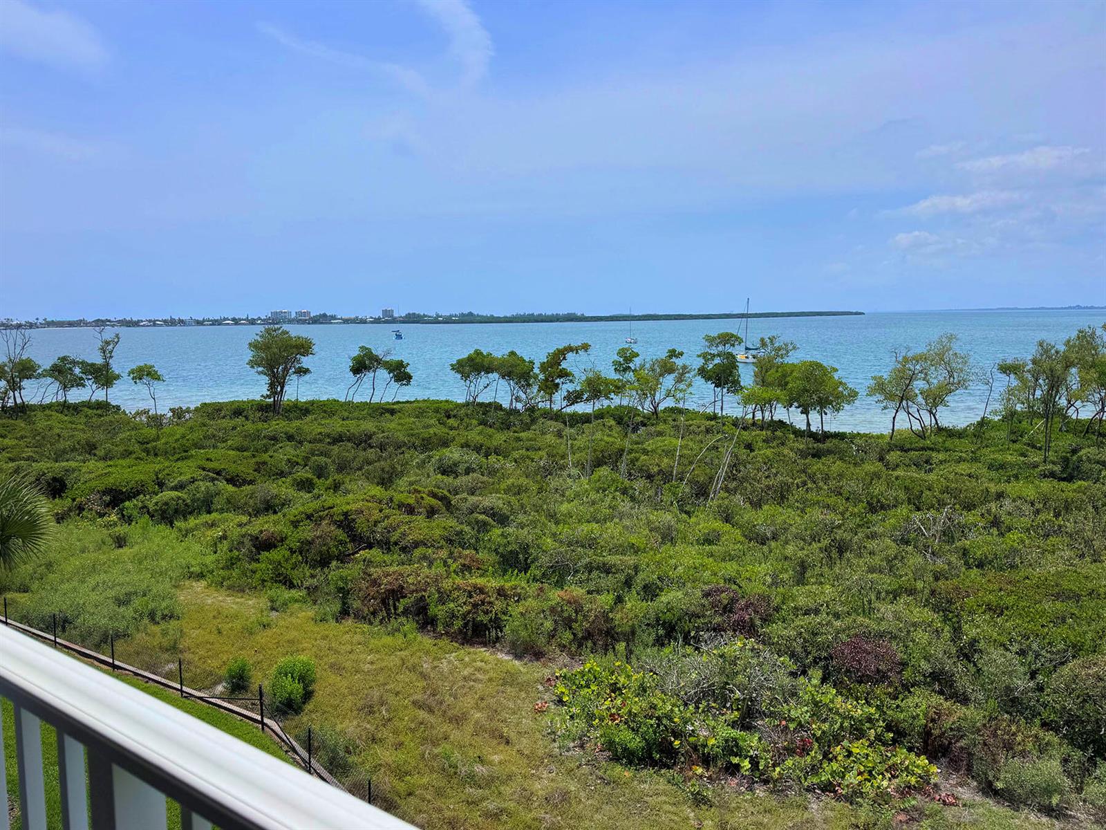 A view from a balcony overlooking a dense mangrove forest and a calm blue bay — FORT PIERCE, FL