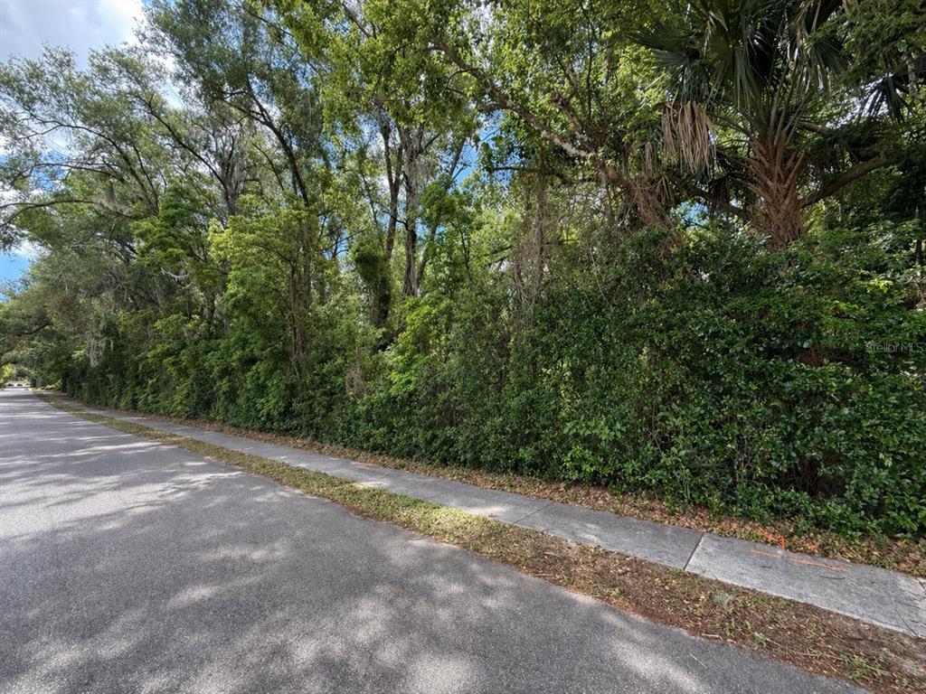 A paved road runs alongside a sidewalk bordering a dense, wooded lot with mature trees — TBD KING AVENUE, ZELLWOOD, FL