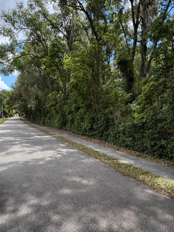 A paved road runs alongside a sidewalk bordered by a dense line of mature trees — TBD KING AVENUE, ZELLWOOD, FL